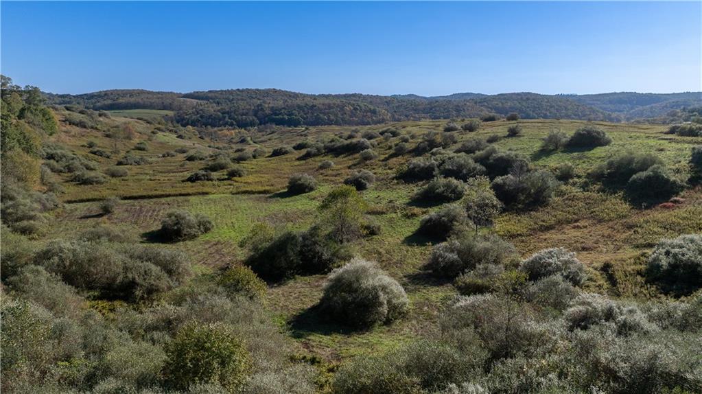 0 Country Road Dayton, PA 16222 - Photo 7 of 24 a view of a forest with a street