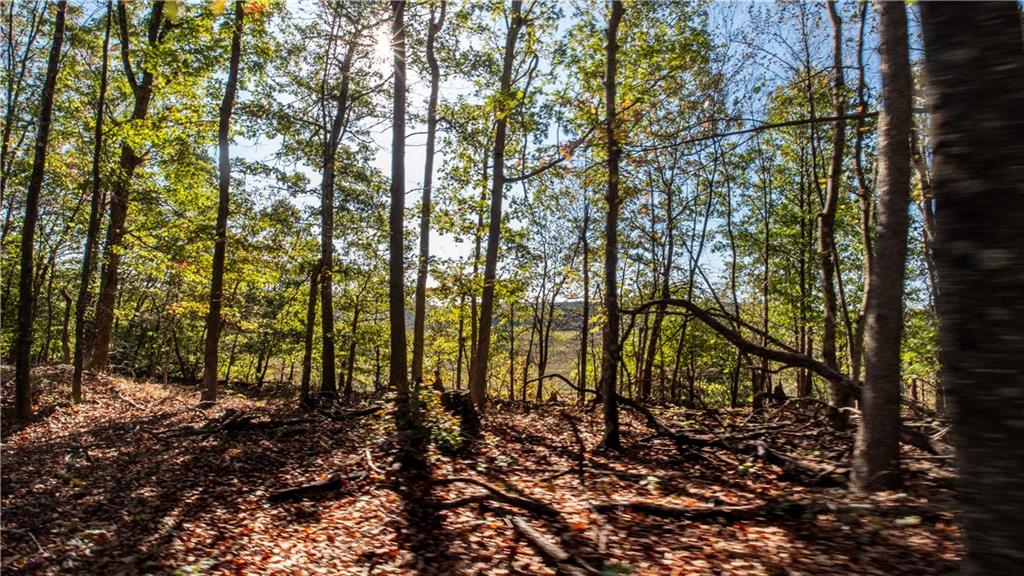0 Country Road Dayton, PA 16222 - Photo 9 of 24