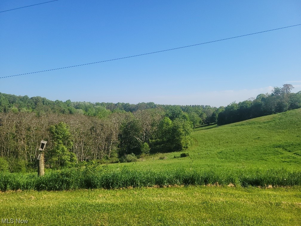 36260 Gundy Ridge Road Scio, OH 43988 - Photo 15 of 18
