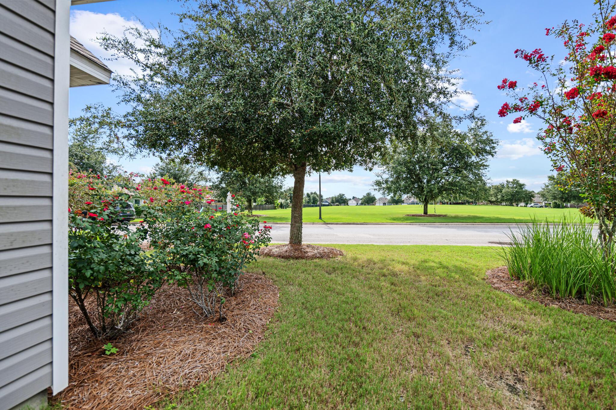 268 Cornelia Street Freeport, FL 32439 - Photo 33 of 41 a view of a garden with a tree