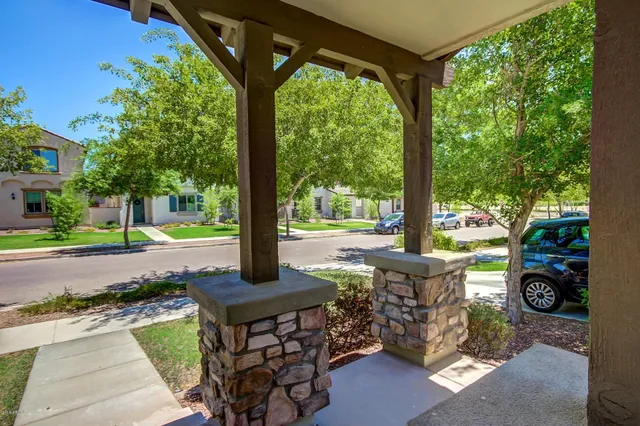 a view of a garden with plants