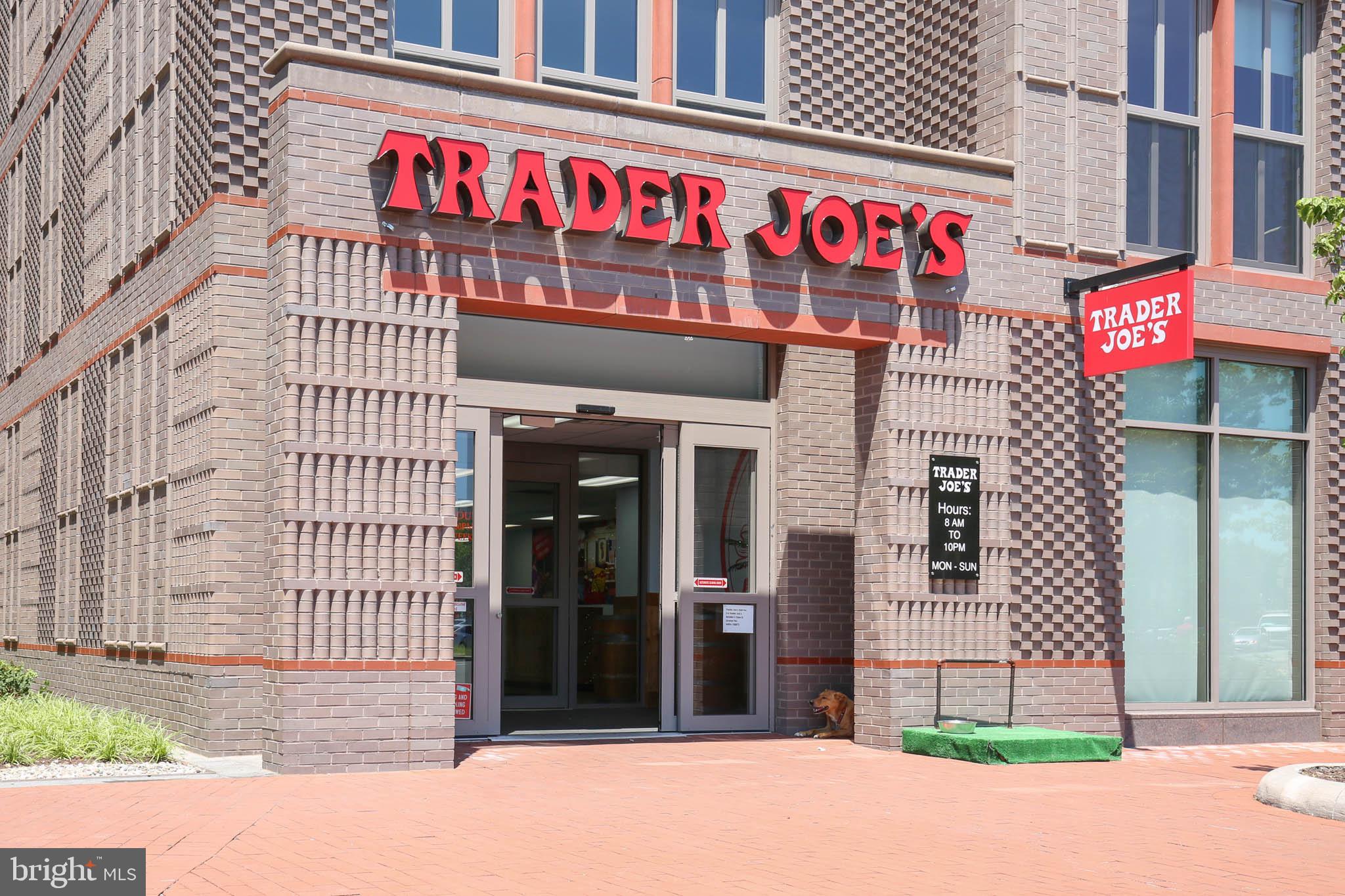 1713 Bay Street Southeast Washington, DC 20003 - Photo 24 of 25