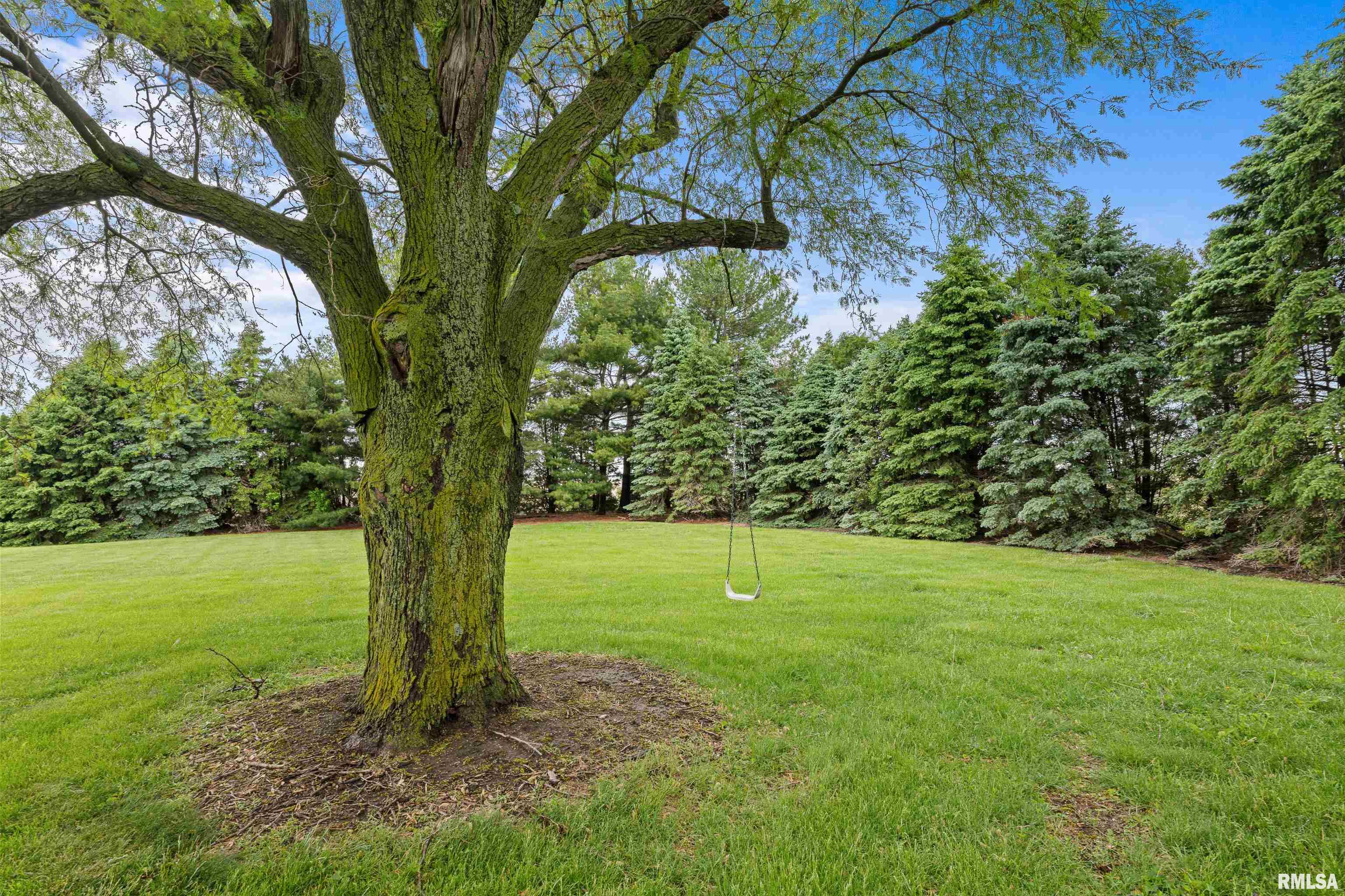 13111 134th Avenue West Taylor Ridge, IL 61284 - Photo 39 of 42 Gallery Image 39