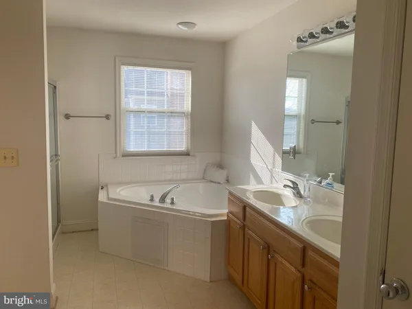 a bathroom with a tub a sink and mirror