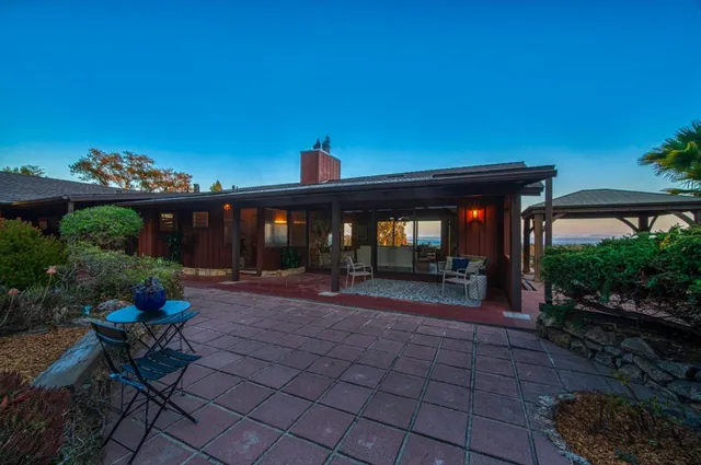 a view of a yard with plants and trees