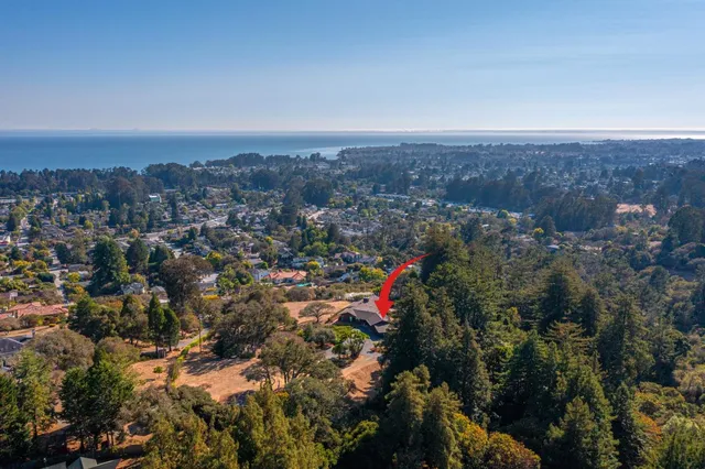 a view of a tree with an outdoor space