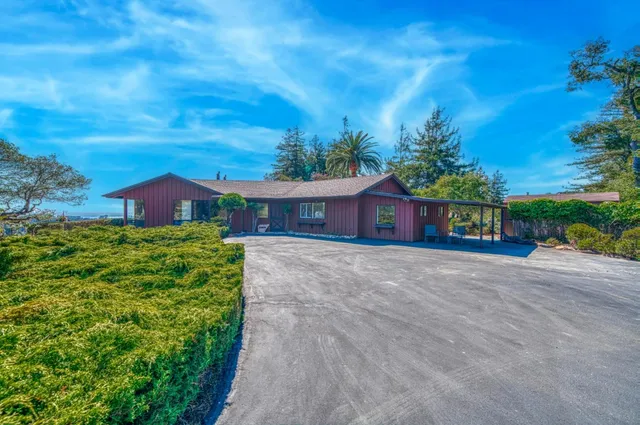 a view of a yard with plants and trees