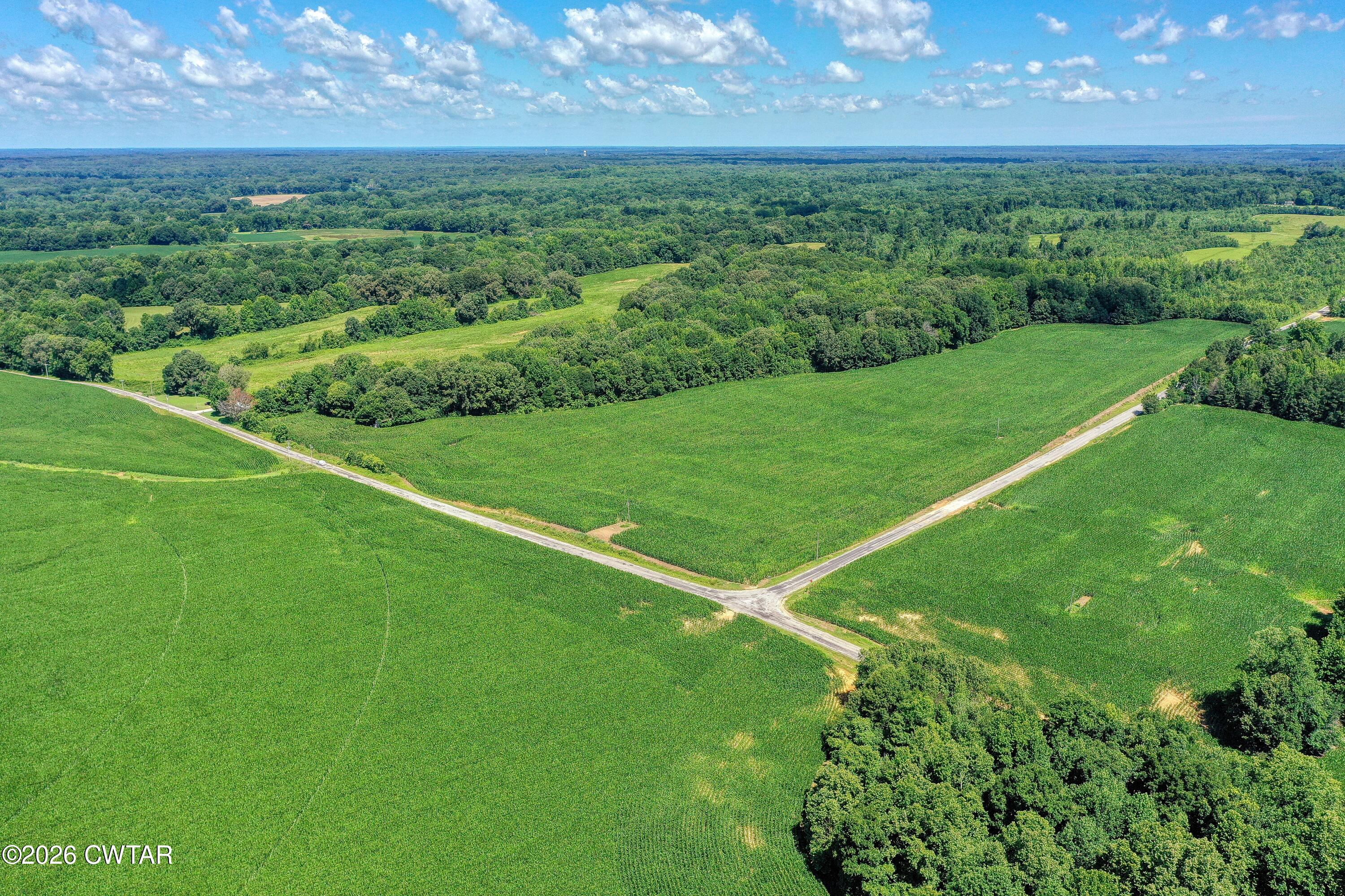 0 Perry Road Knoxville, TN 37914 - Photo 4 of 12 DJI_0131