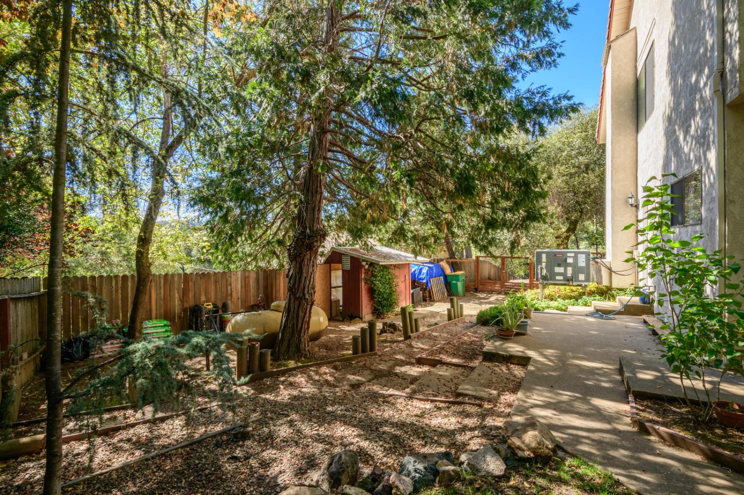 2921 Miller Way Placerville, CA 95667 - Photo 24 of 29 a view of a park with large trees