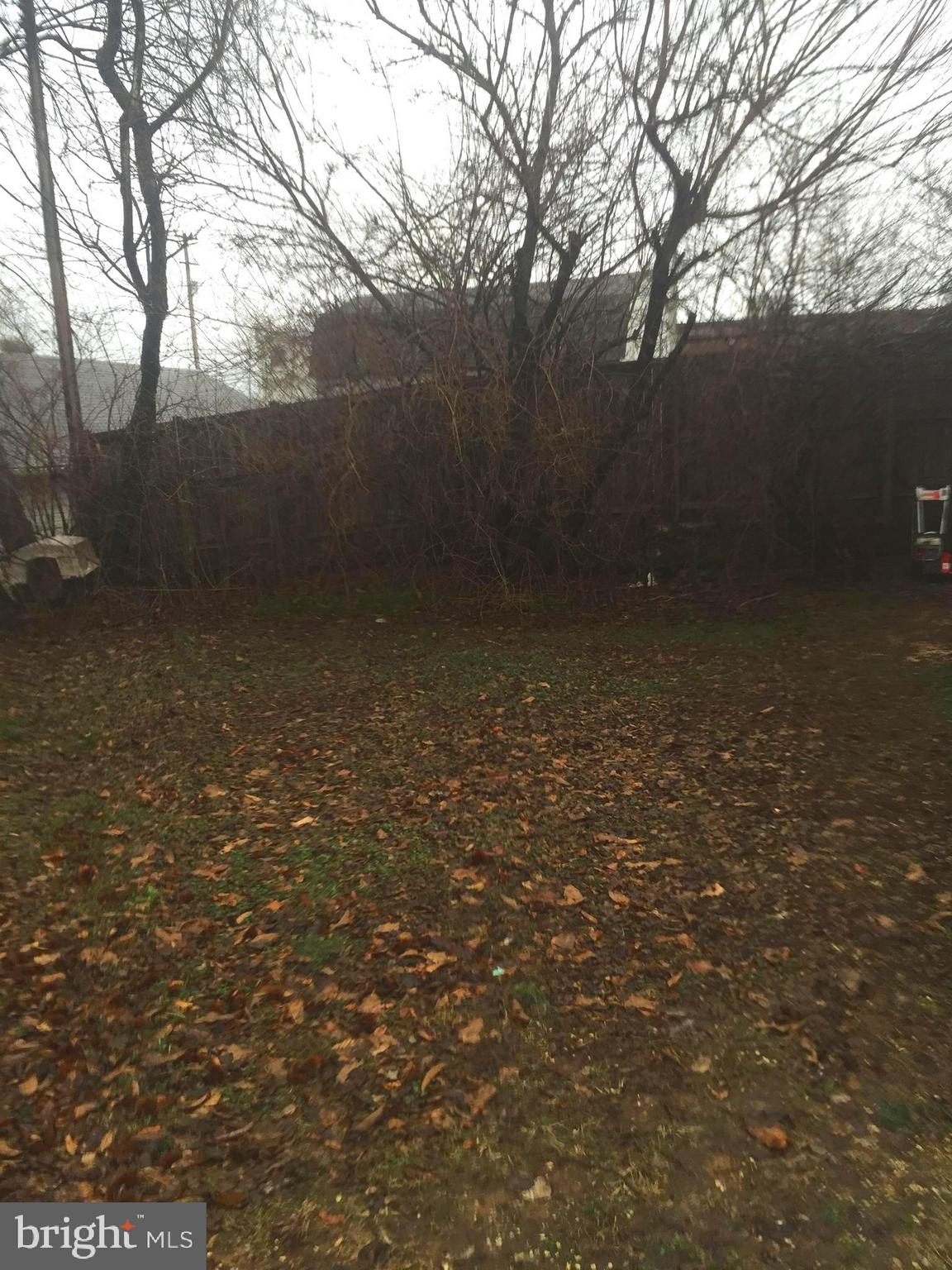 303 Adam Road Frederick, MD 21701 - Photo 10 of 11 Rear yard