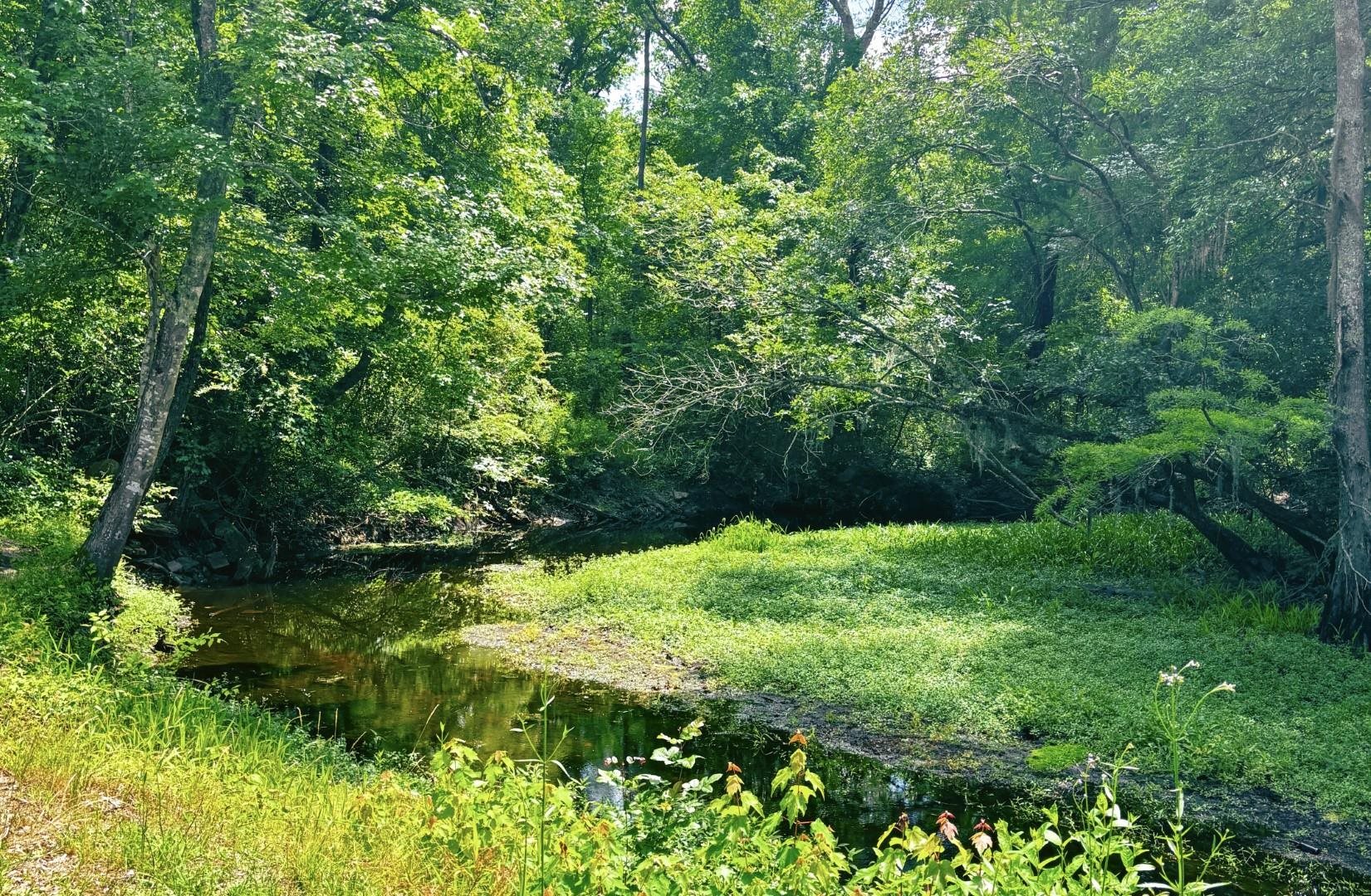 2134 Moccasin Bluff Road Hamer, SC 29547 - Photo 26 of 29
