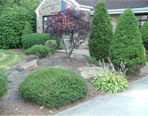 131 Brownsdale Road Butler, PA 16002 - Photo 2 of 12 Exterior Front.