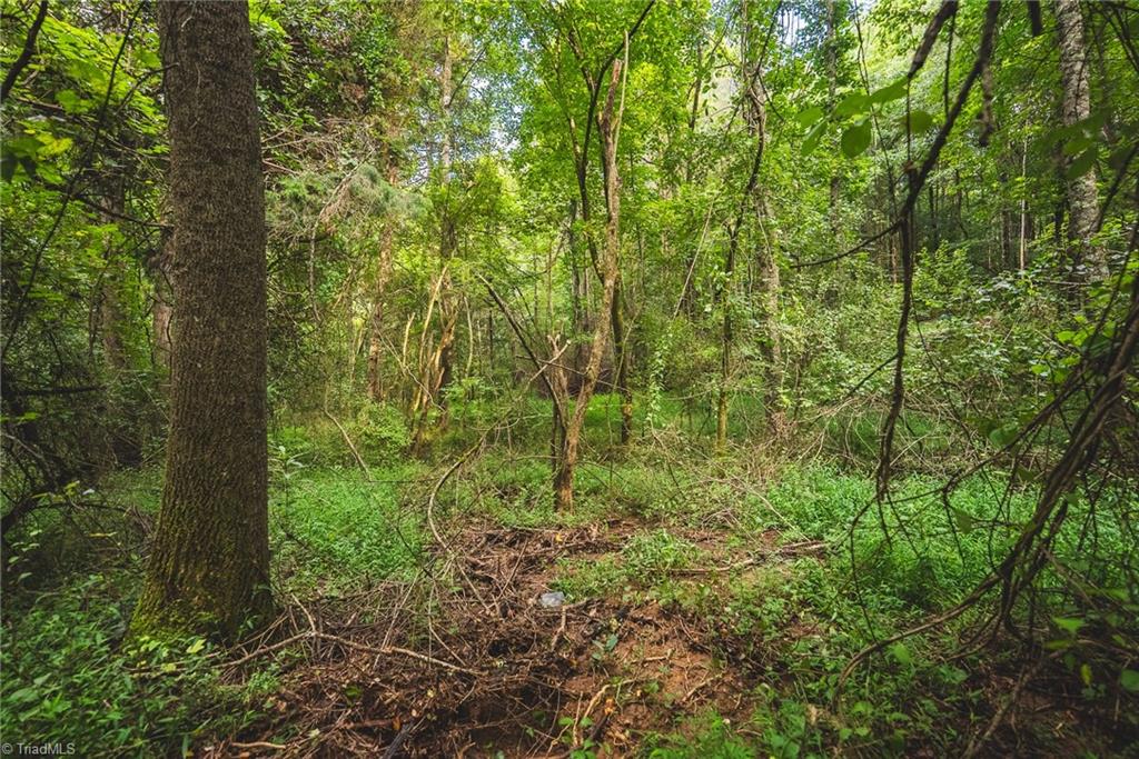 Tbd Johnson Ridge Road Elkin, NC 28621 - Photo 11 of 18