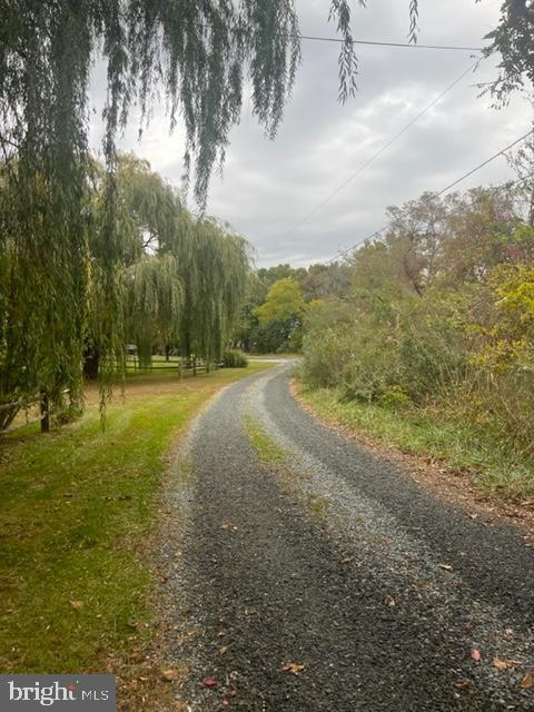 5048 Huntingfield Road Rock Hall, MD 21661 - Photo 11 of 68 coming down the lane to the home