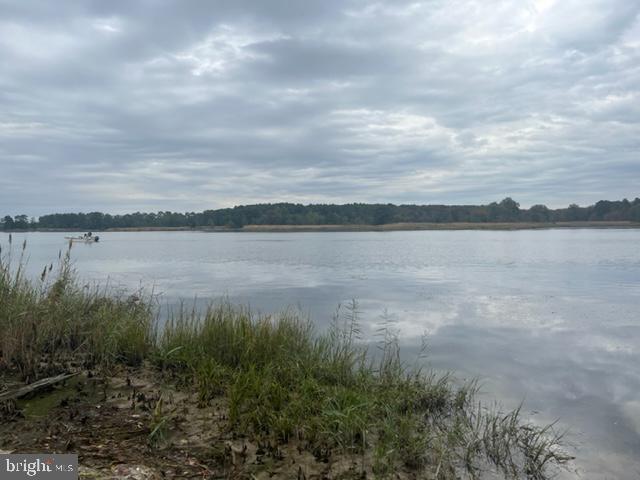 5048 Huntingfield Road Rock Hall, MD 21661 - Photo 12 of 68 beach cove steps away