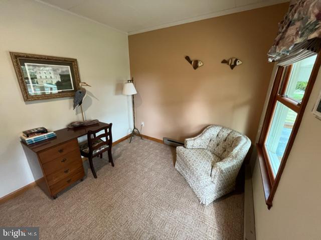 5048 Huntingfield Road Rock Hall, MD 21661 - Photo 35 of 68 Gallery Image 35