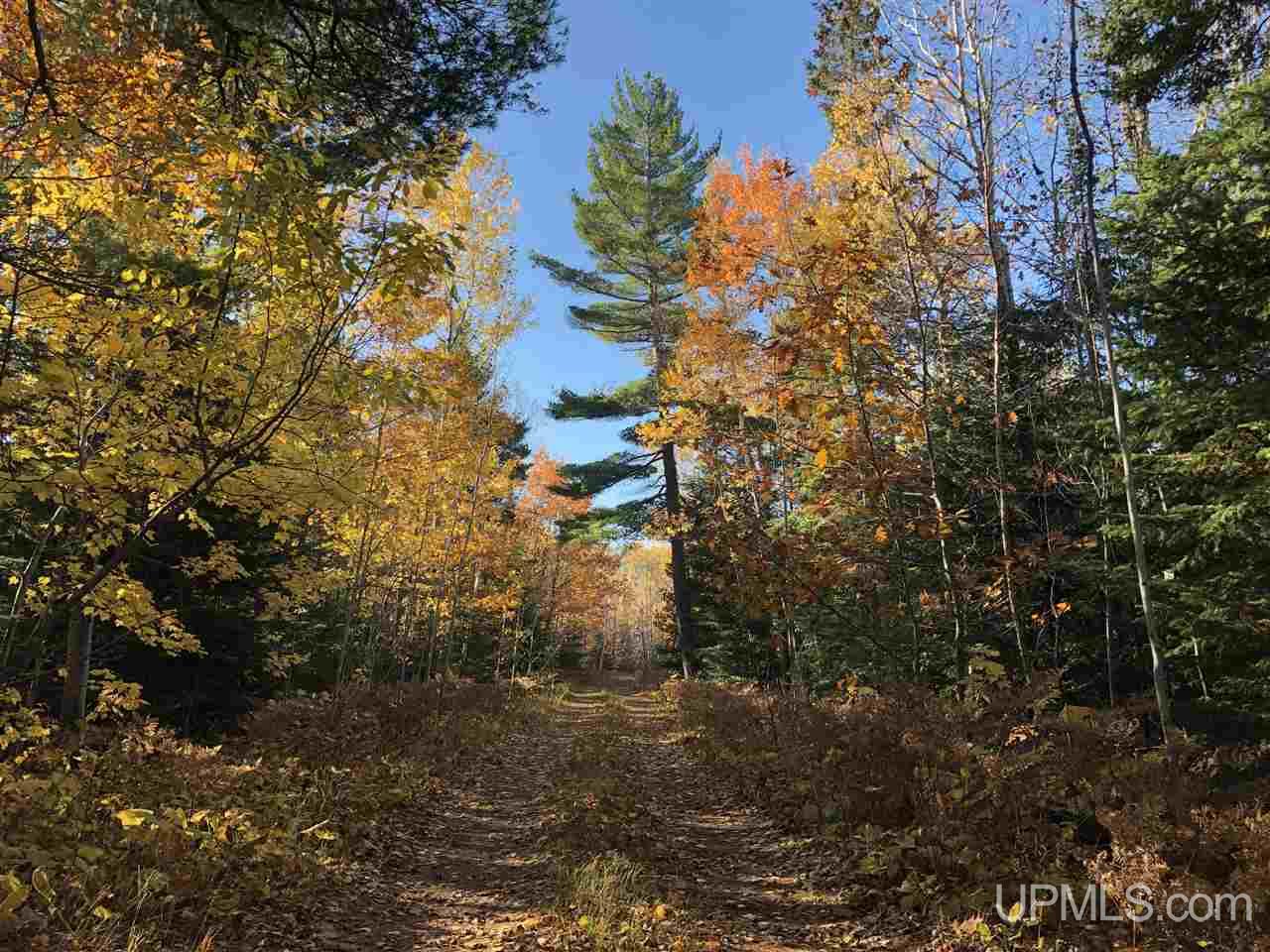 Tbd Tbd Kayleigh Road, Unit LOT 3 Mohawk, MI 49950 - Photo 2 of 5