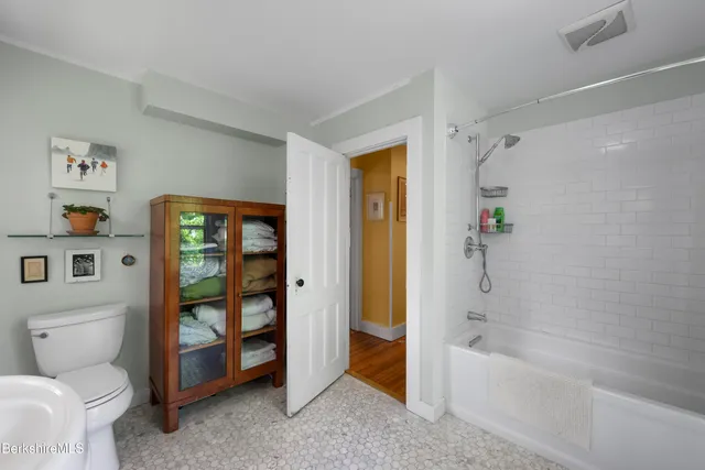 a bathroom with a toilet and a shower