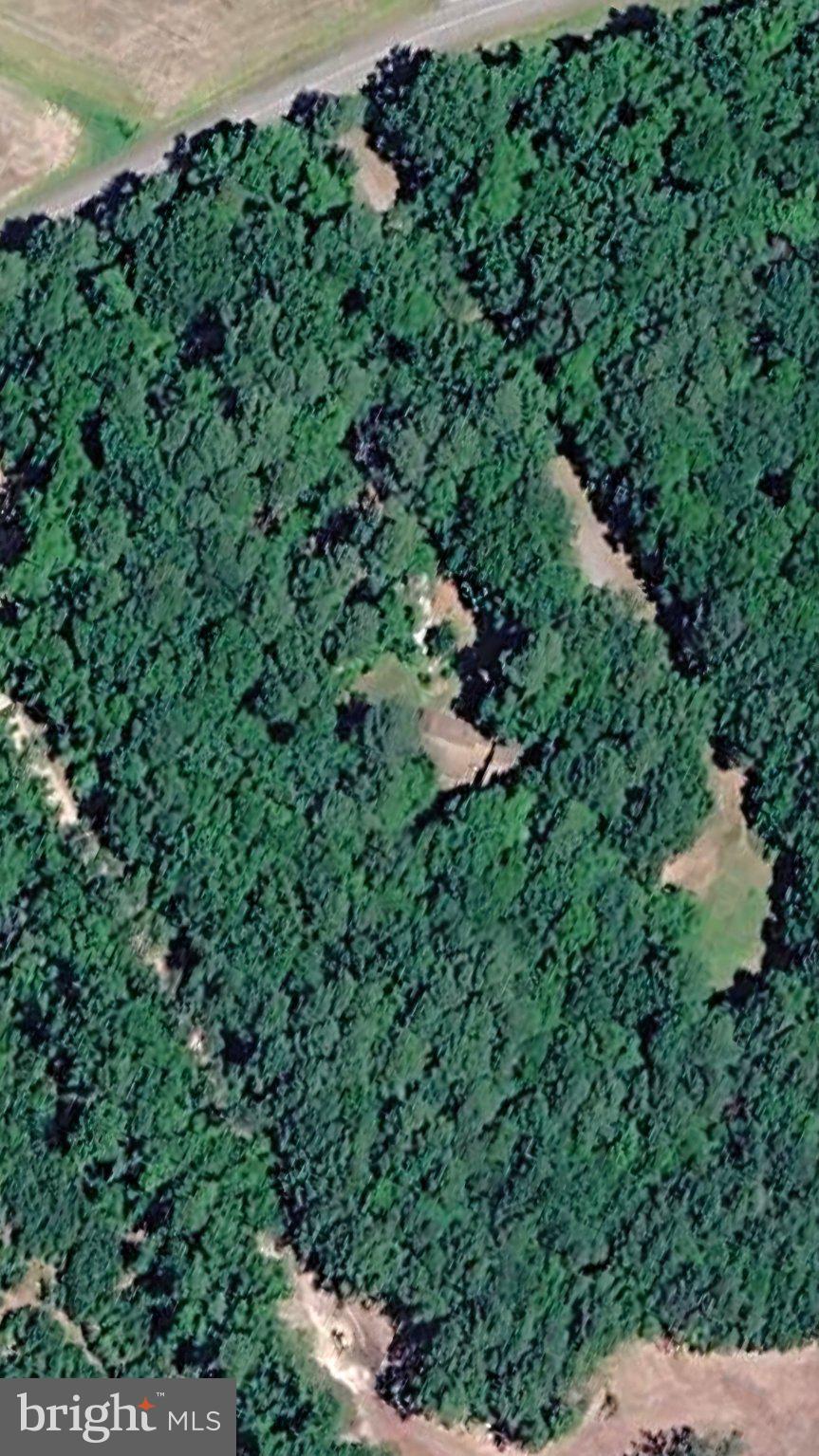 5005 Percy May Road Linkwood, MD 21835 - Photo 1 of 1 Aerial view