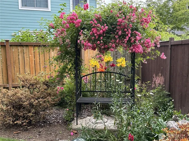 a flower garden view