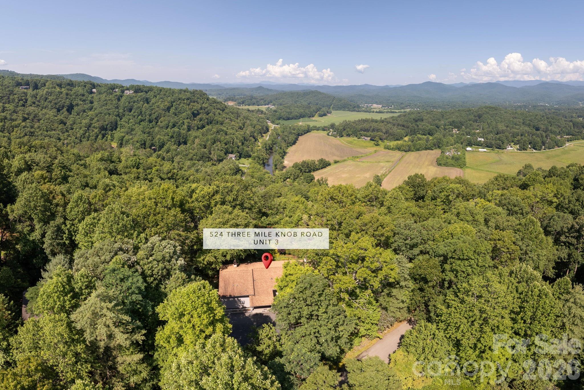 524 Three Mile Knob Road, Unit 3 Pisgah Forest, NC 28768 - Photo 32 of 32