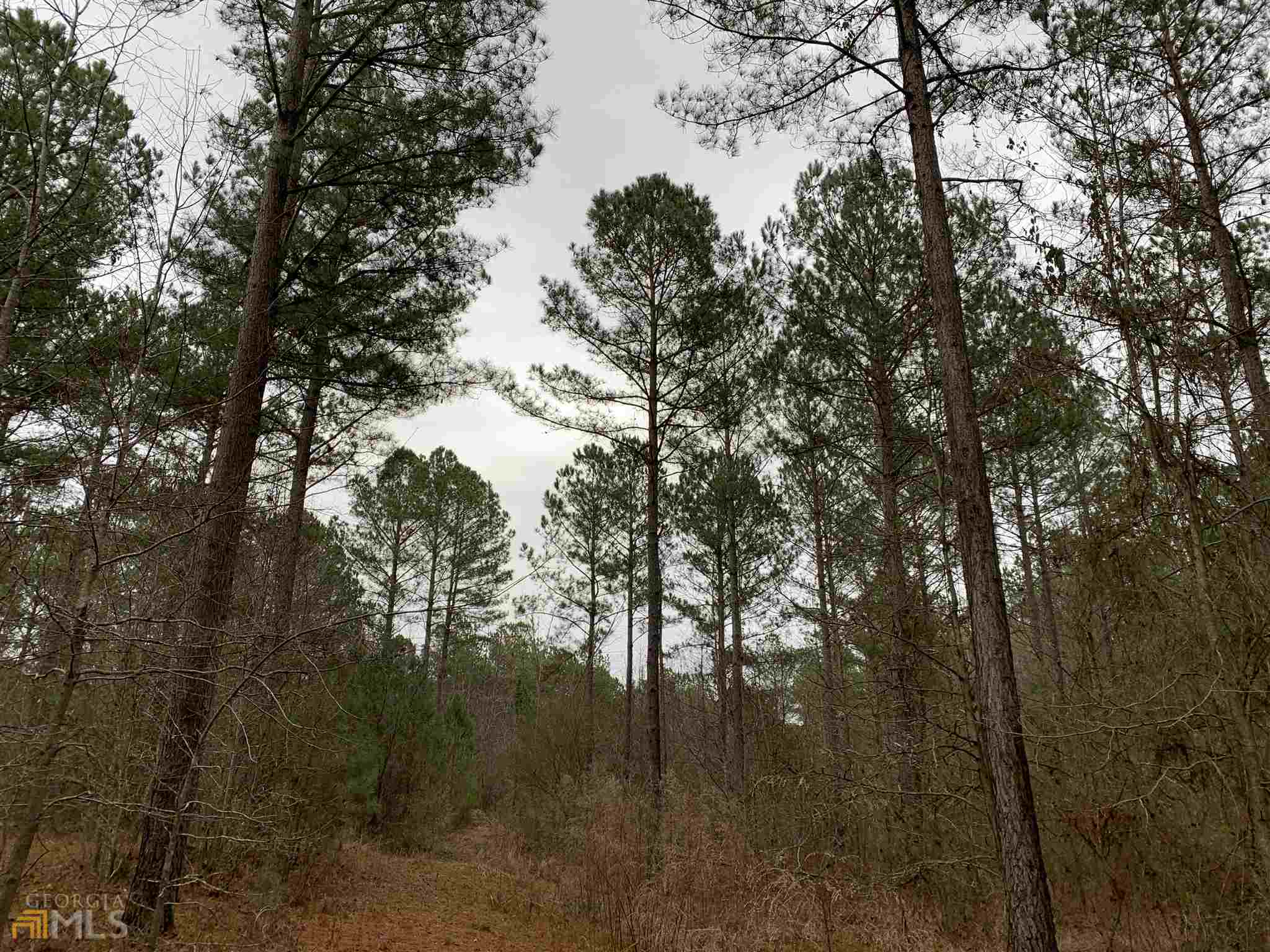 0 Tenney Nelson Road, Unit 331 AC Grantville, GA 30220 - Photo 1 of 1 Gallery Image 1