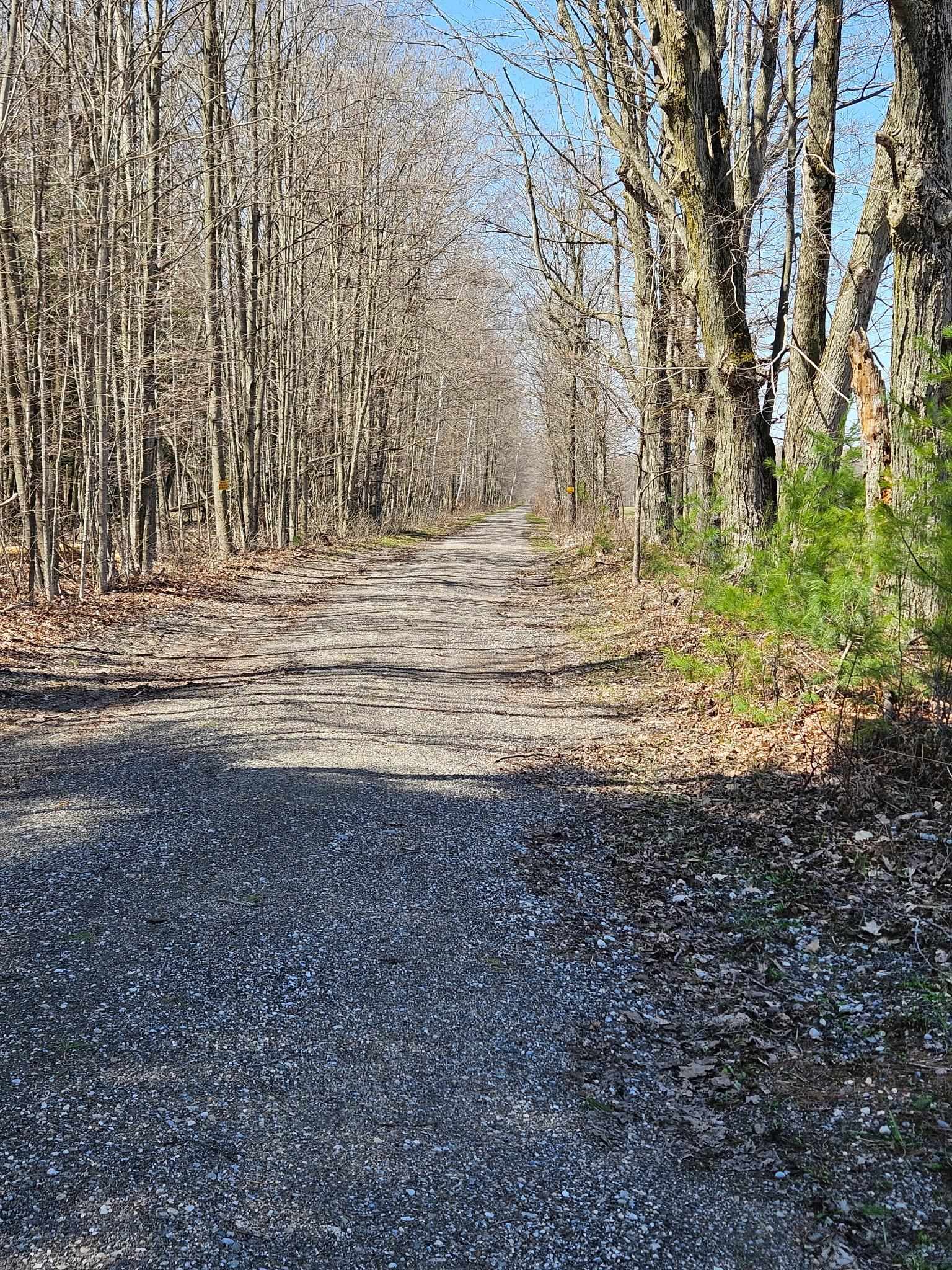 1875 Highway 30 Alger, MI 48610 - Photo 8 of 13