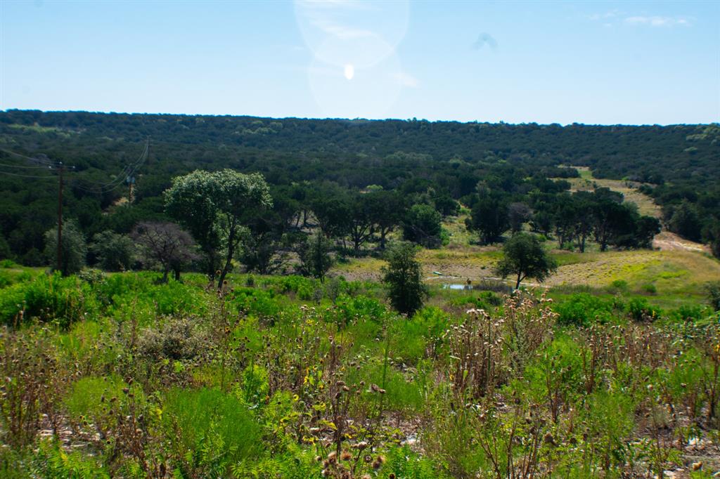 194 Rd Tuscola Tx 79562 Road Ovalo, TX 79541 - Photo 11 of 25 a view of a town with lush green forest