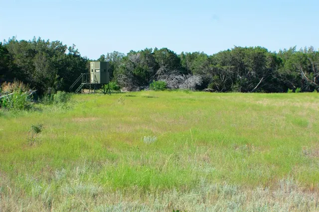 a view of a field of grass and trees