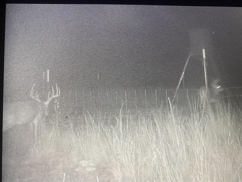 194 Rd Tuscola Tx 79562 Road Ovalo, TX 79541 - Photo 23 of 25 a room with a white wall