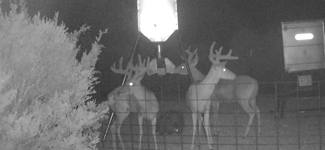 a close view of shower tap