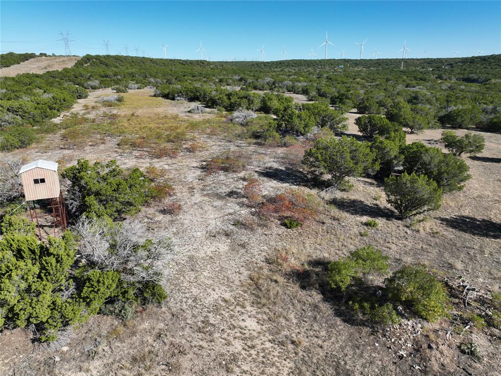 194 Rd Tuscola Tx 79562 Road Ovalo, TX 79541 - Photo 3 of 25 an aerial view of residential houses with outdoor space and trees