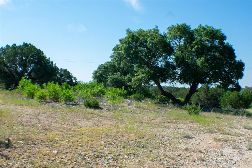 194 Rd Tuscola Tx 79562 Road Ovalo, TX 79541 - Photo 5 of 25 a view of a dry yard with trees