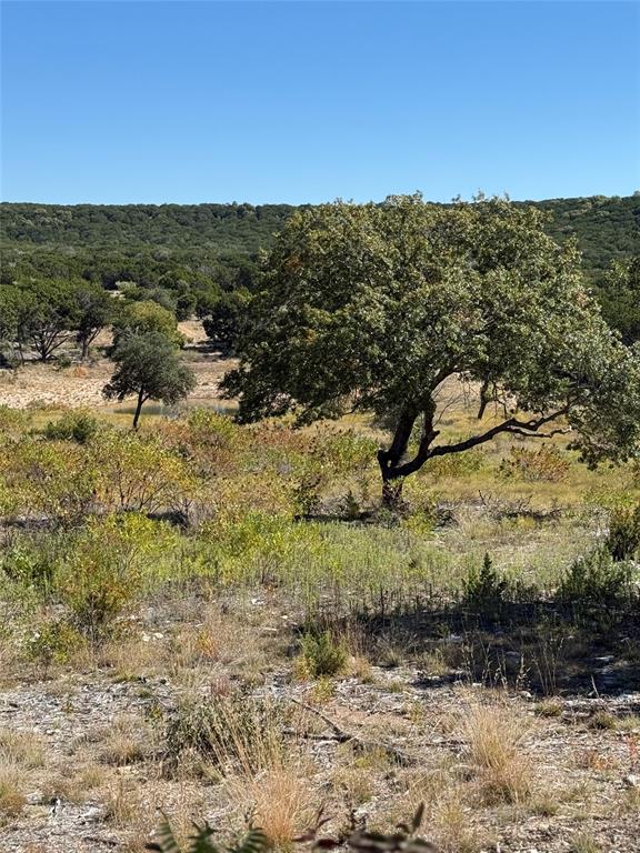 194 Rd Tuscola Tx 79562 Road Ovalo, TX 79541 - Photo 6 of 25 a view of a yard