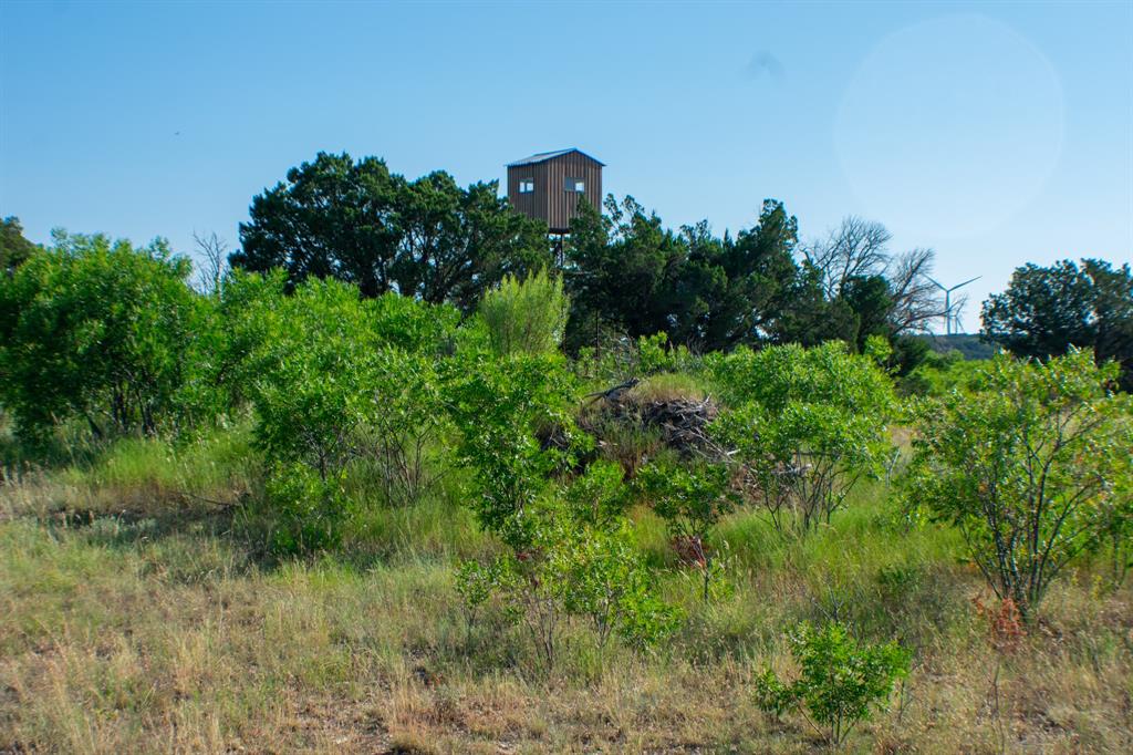 194 Rd Tuscola Tx 79562 Road Ovalo, TX 79541 - Photo 9 of 25 a view of a garden