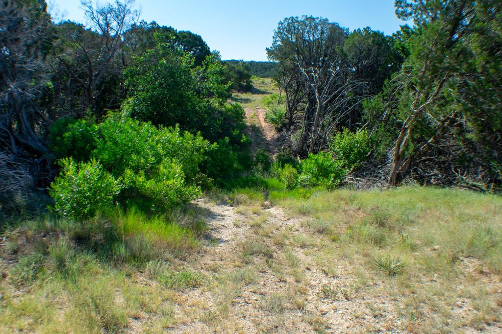 194 Rd Tuscola Tx 79562 Road Ovalo, TX 79541 - Photo 10 of 25 a backyard of a house with lots of green space