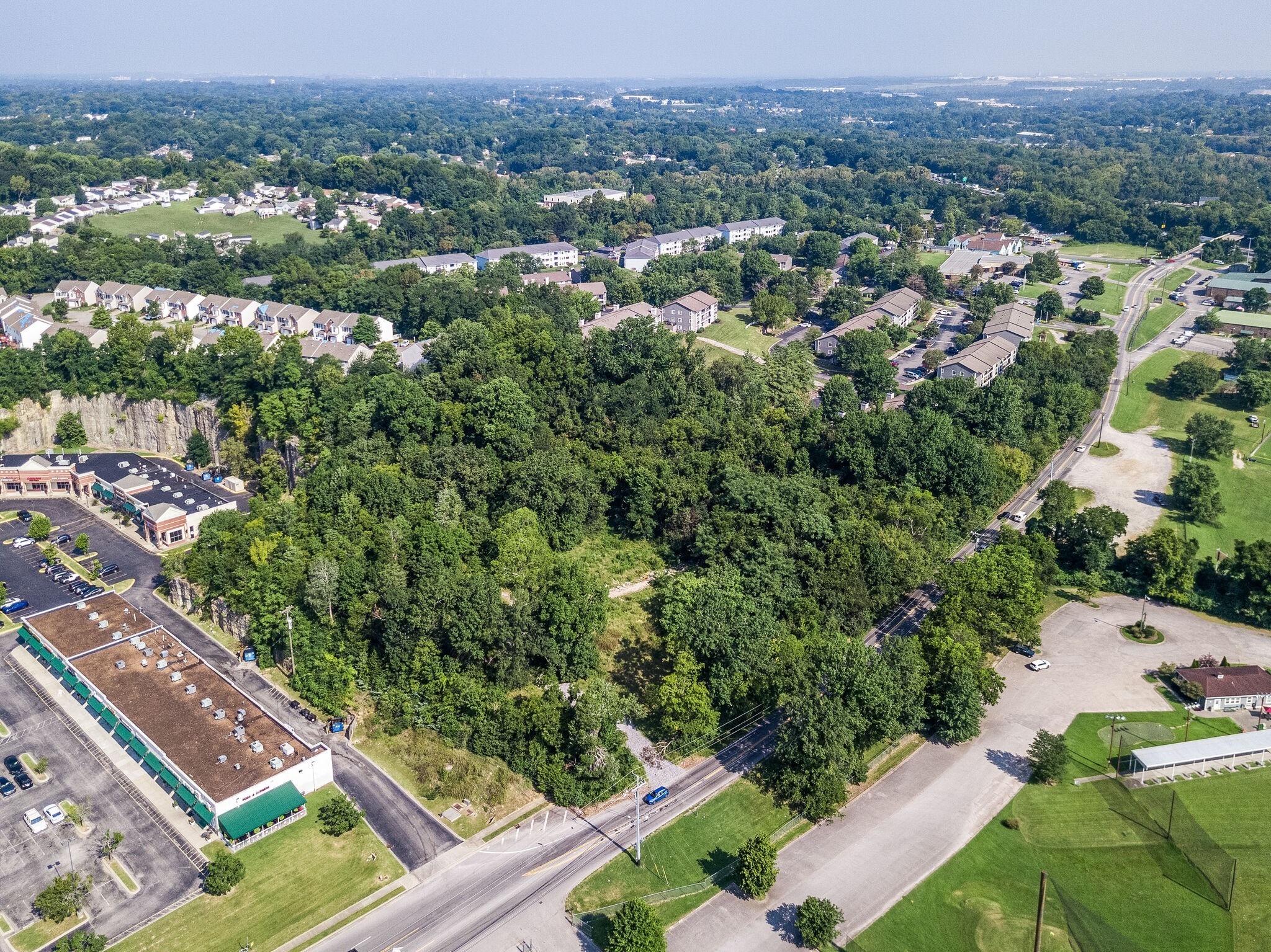 5215 Blue Hole Road Antioch, TN 37013 - Photo 13 of 18 an aerial view of multiple house