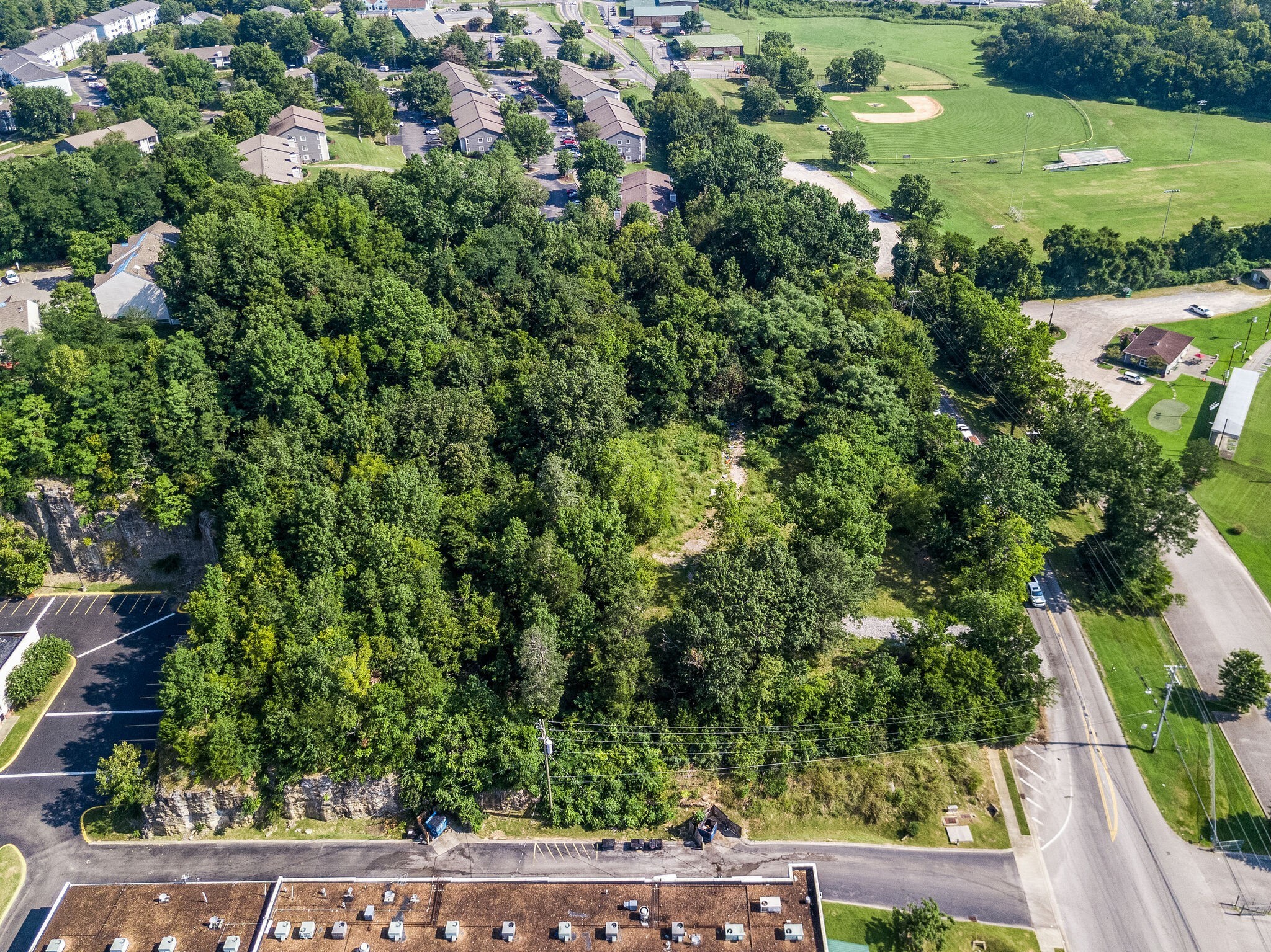 5215 Blue Hole Road Antioch, TN 37013 - Photo 18 of 18 an aerial view of residential houses with outdoor space and trees
