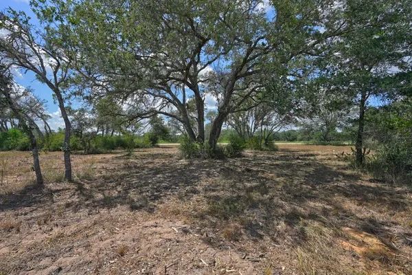 a view of outdoor space with trees