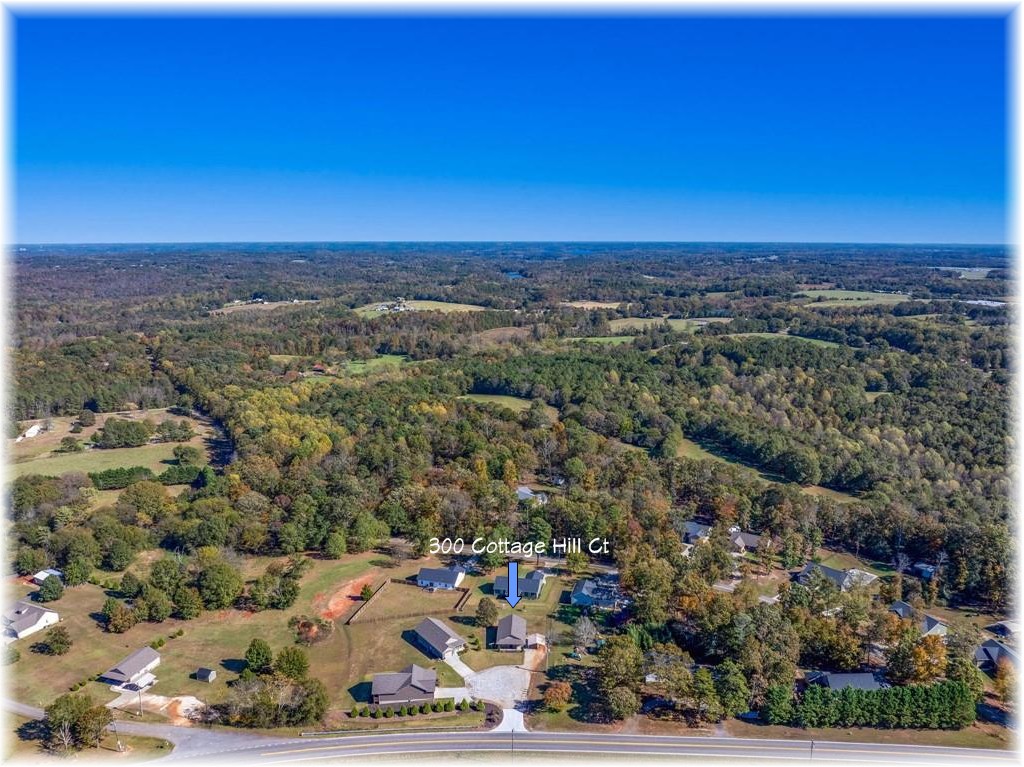 300 Cottage Hl Court Seneca, SC 29678 - Photo 2 of 25