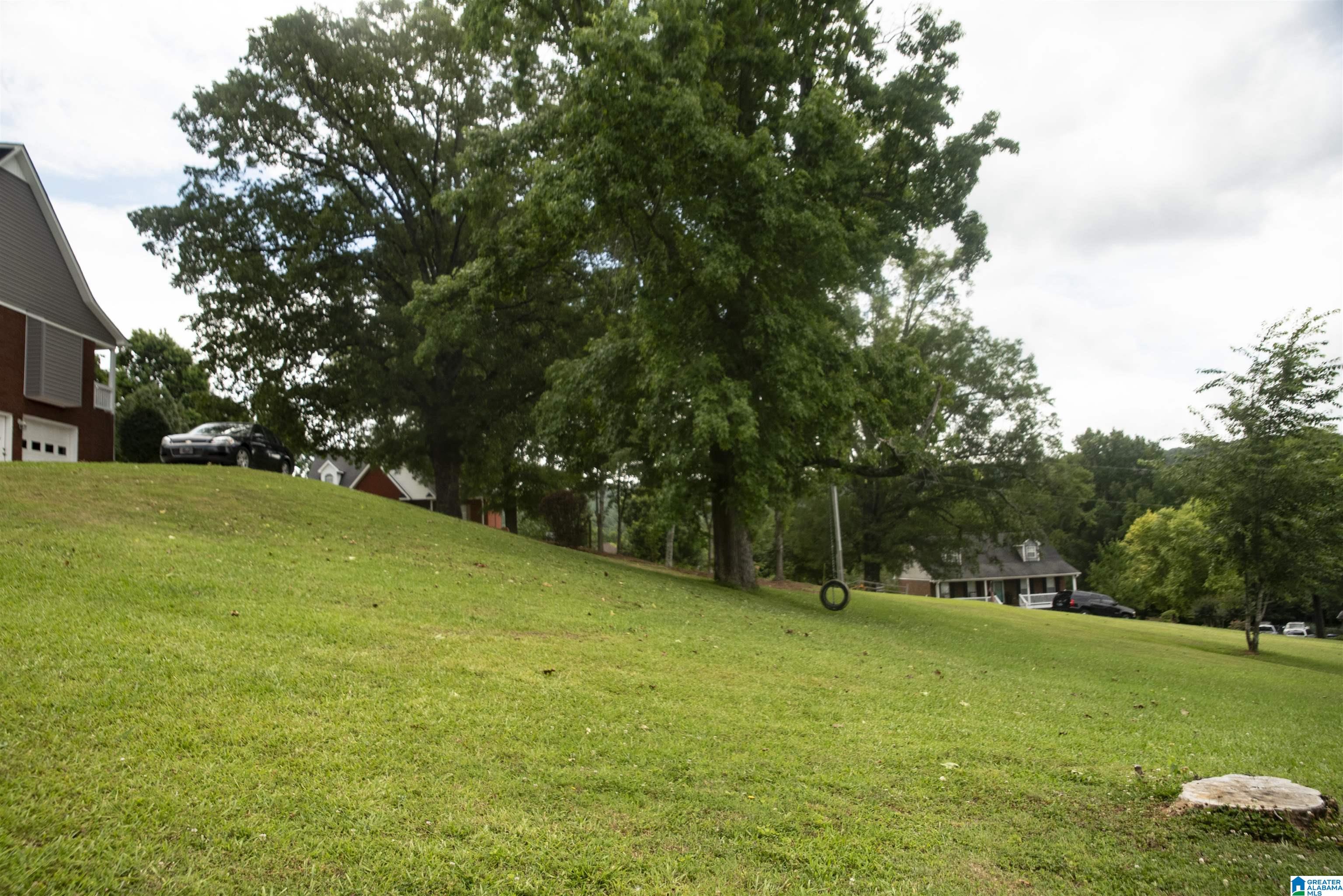 302 Valley View Lane Oneonta, AL 35121 - Photo 26 of 29