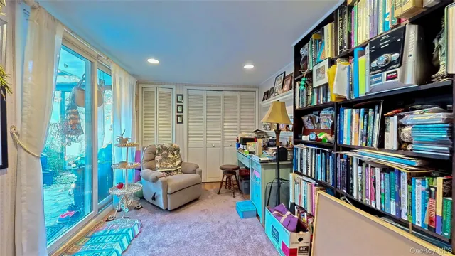 a living room with lots of furniture and a book shelf