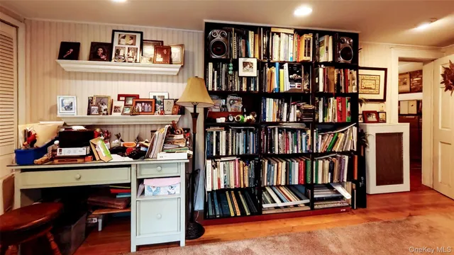 a view of a workspace with bookshelf