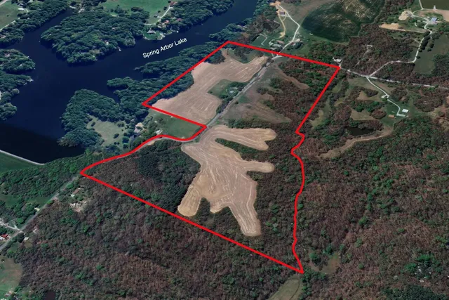 a view of a yard with flower plants
