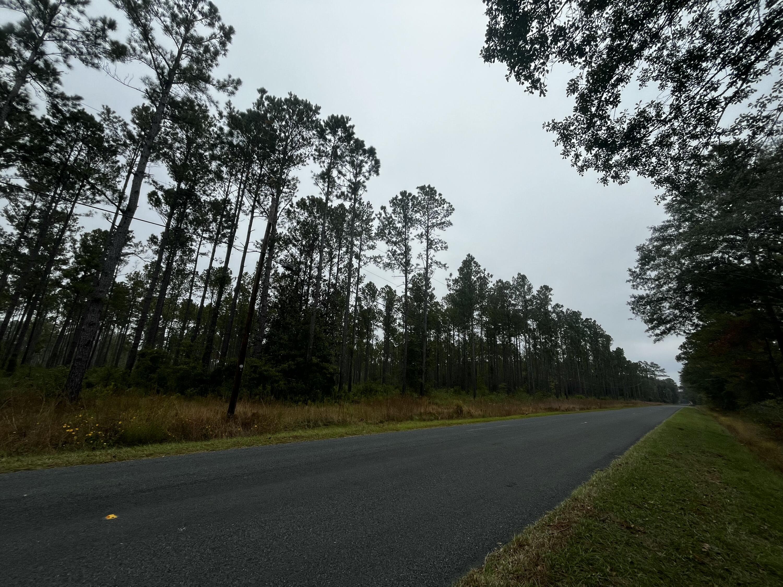 0 Peniel Road Walterboro, SC 29488 - Photo 15 of 15 10 (5)