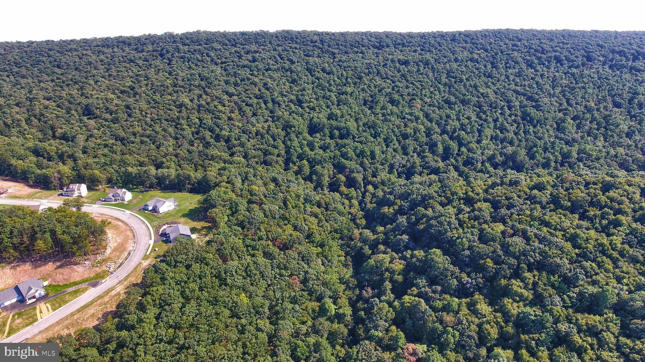 178 Morleton Avenue Marysville, PA 17053 - Photo 3 of 5