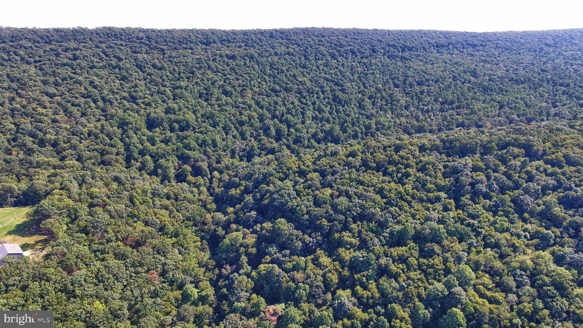 178 Morleton Avenue Marysville, PA 17053 - Photo 4 of 5