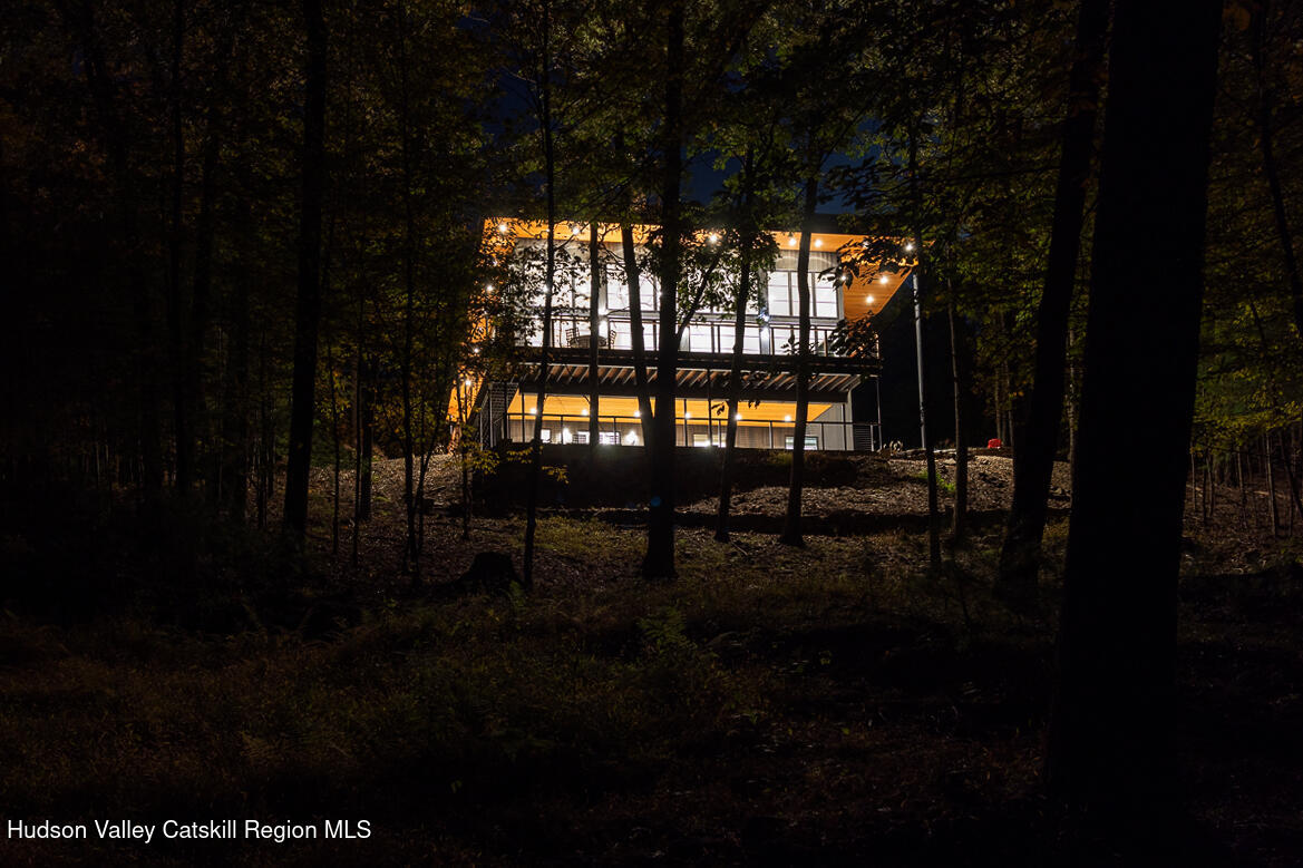 10 Hidden Mountain Lane Stone Ridge, NY 12484 - Photo 44 of 51 Hidden Mountain Night-08