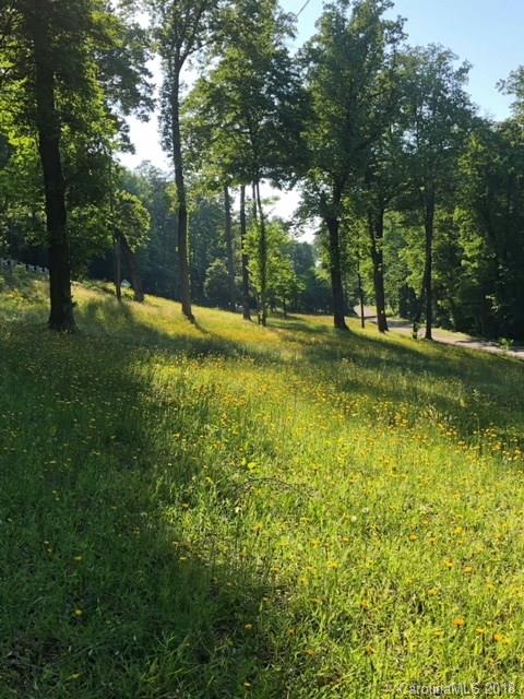 190 Euit Smith Road Tryon, NC 28782 - Photo 36 of 36 a view of a yard with a large trees