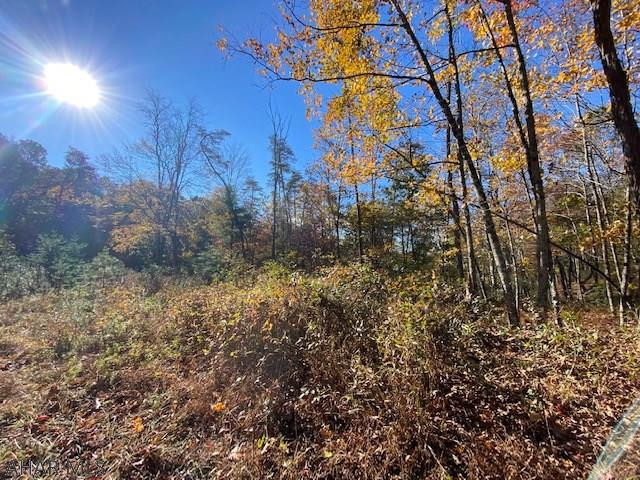 3362 Ragged Mountain Road Clearville, PA 15535 - Photo 6 of 22